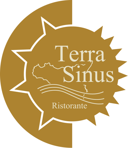 Terrasinus logo