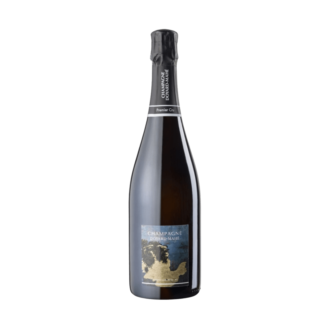 Doyard-Mahé - Hommage Bleu #2