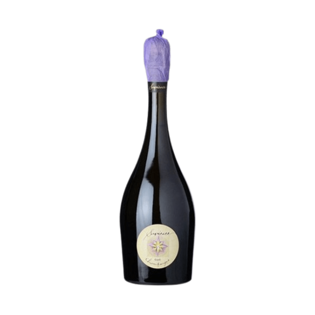 Marguet - Sapience 2013/14