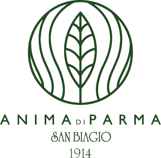 Anima di Parma logo
