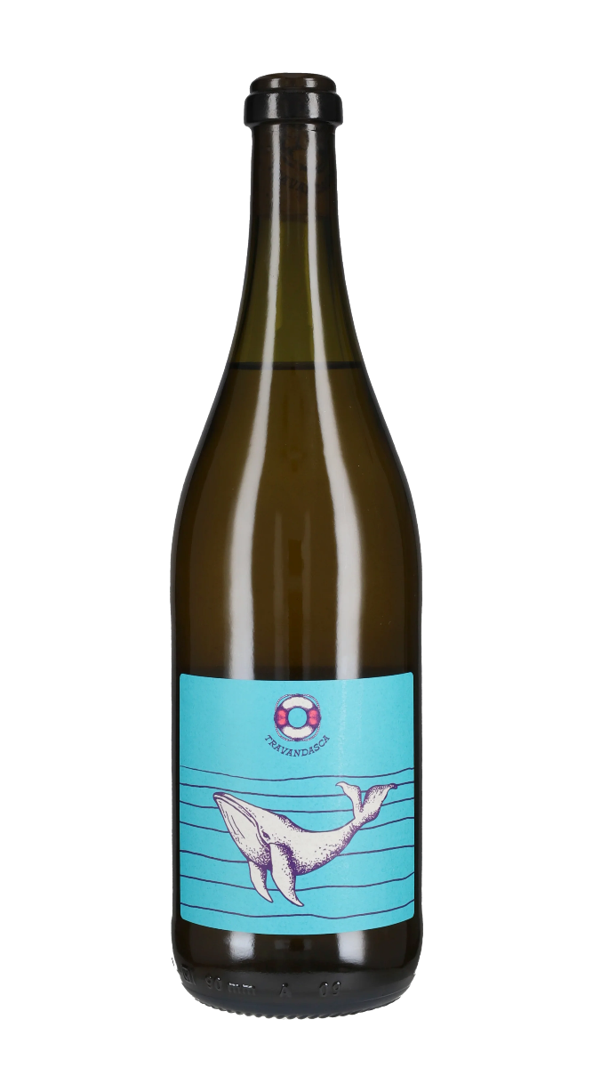 BALENA AZZURRA - Travandasca