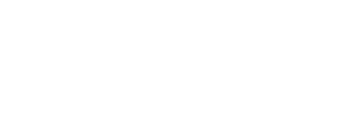 P40 logo