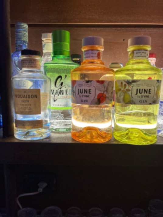 G vine (gin de france) 