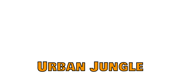 Paloma logo