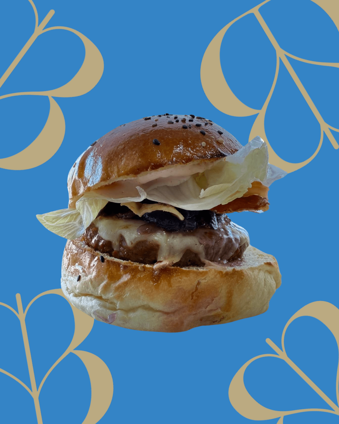 BONACCIA