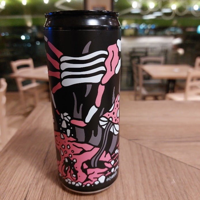 ANTIKORPO SAVORY BONES 4.5% - FRUIT GOSE