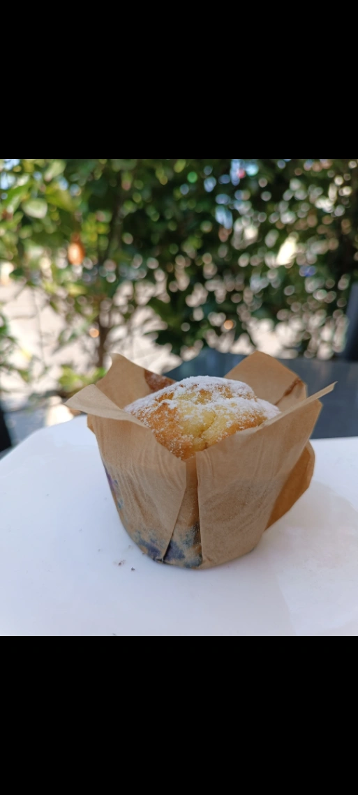 Muffin ai Mirtilli