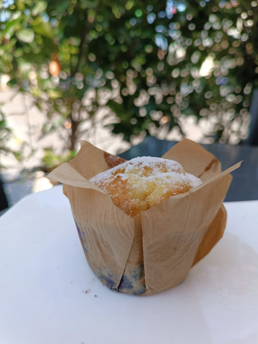 Muffin ai Mirtilli